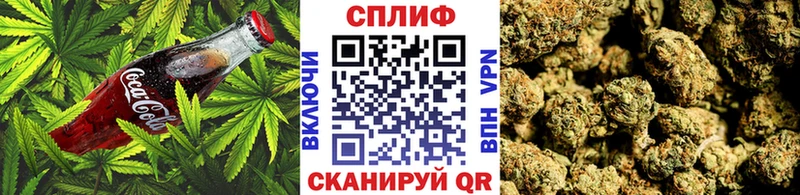 где найти наркотики  Кашира  Canna-Cookies марихуана 