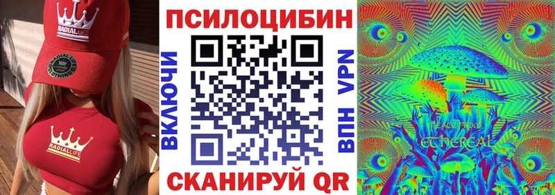 Псилоцибиновые грибы Cubensis  дарнет шоп  Кашира 
