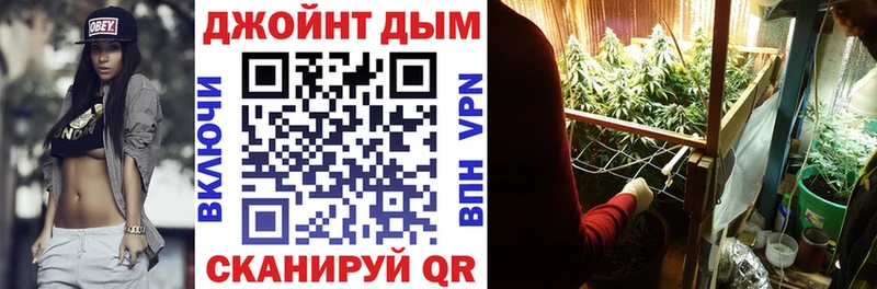 наркотики  Кашира  Бошки марихуана гибрид 